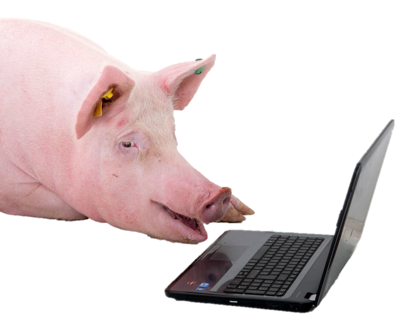 Auditoría de Bioseguridad